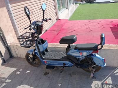 Electric ebike for sale