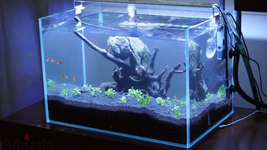 Fish Tank with all accessories