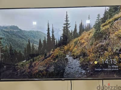 tcl 43 inch tv