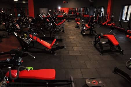 gym for sale with all equipments