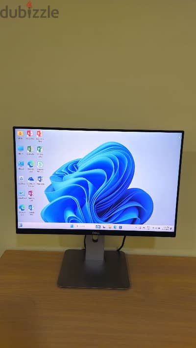 Dell 24 Monitor