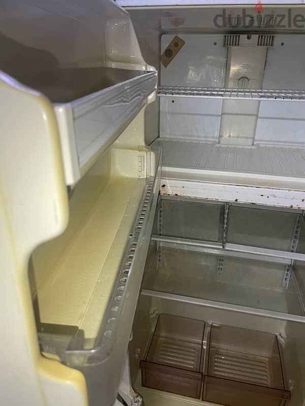 fridge 1