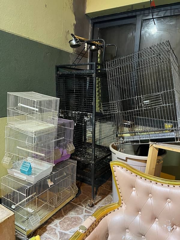 مجموعة اقفاص lot of cages 4