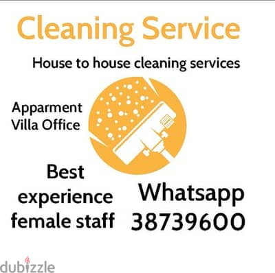 cleaning services