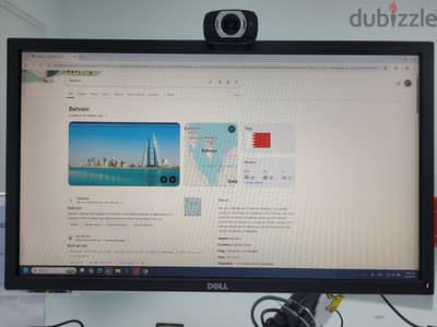 Dell 24 inch Monitor