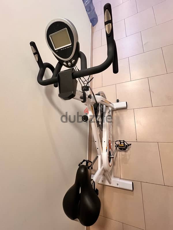 Gym Exercises Bike 1