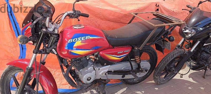 boxer bike for sale 3