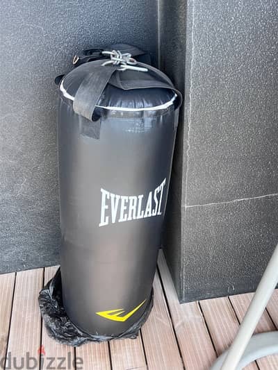 Professional Everlast Punching Bag + 2 Stands