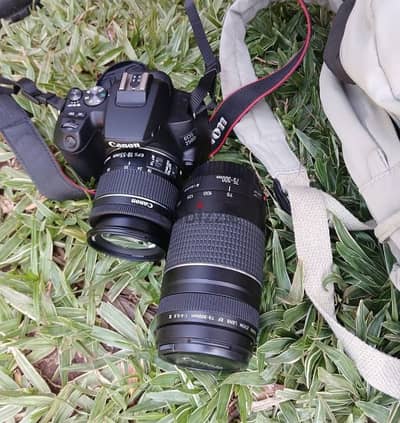 canon 250d for sale