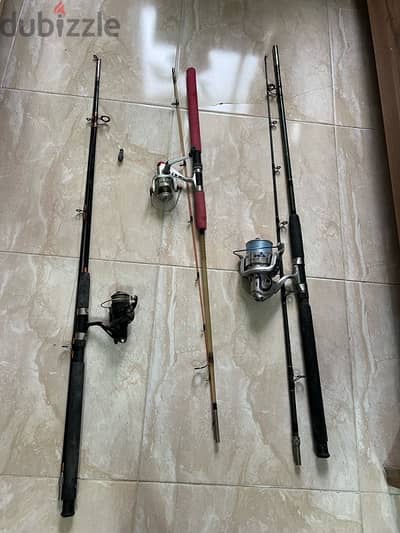 Fishing rod with reel