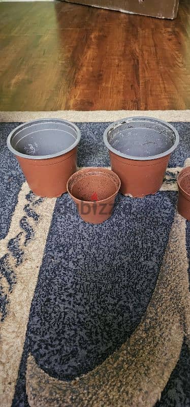 Plastic pots for plants