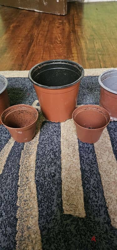 Plastic pots for plants 1