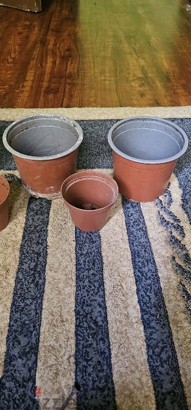 Plastic pots for plants 2