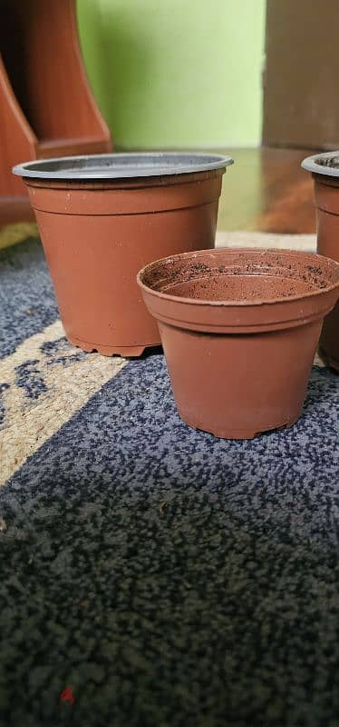 Plastic pots for plants 4