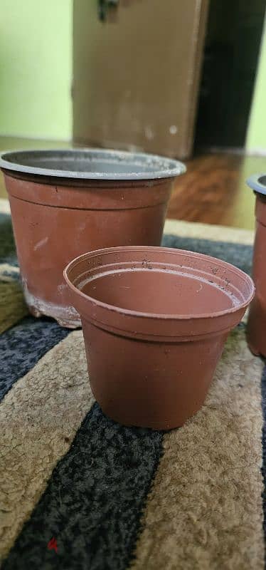 Plastic pots for plants 5