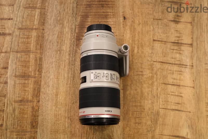 canon 70-200 ii 2.8f 3