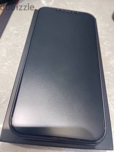 IPHONE 12 PRO MAX - 256 GB