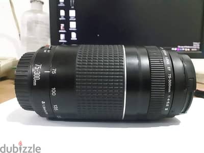 canon 75-300 zoom lens