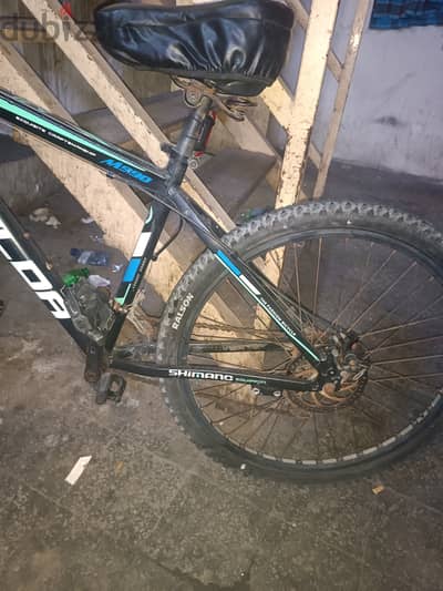 Good condition bicycle