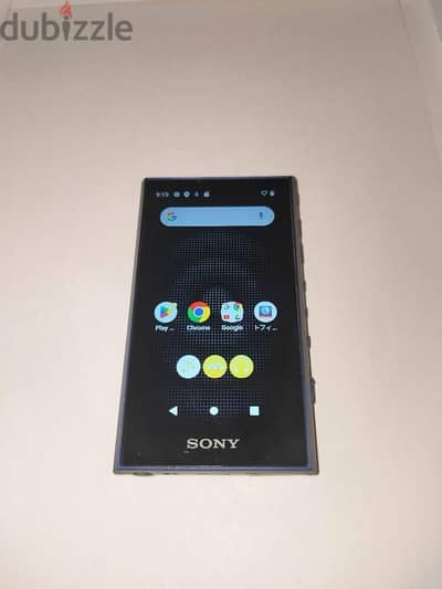 SONY WALKMAN NW-A306 64GB Hi-Res Audio Player