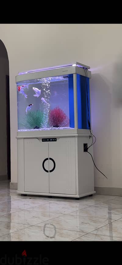 New model fish tank 66357667