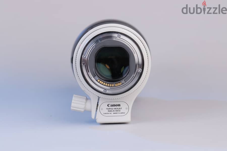 Canon EF 70-200mm f/2.8L IS III USM 3