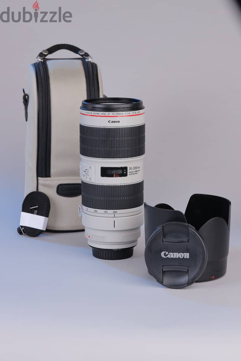 Canon EF 70-200mm f/2.8L IS III USM 6