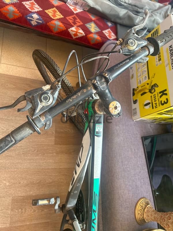 green bicycle 2