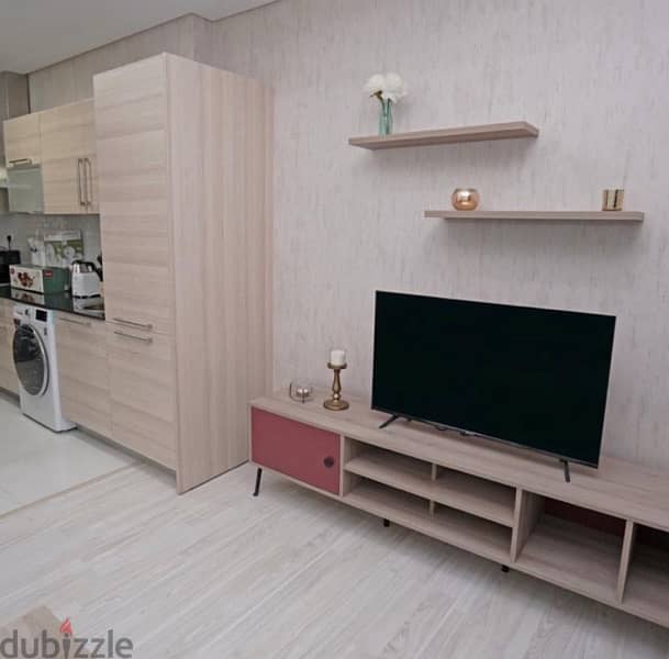 Fully furnished apartment for rent 1