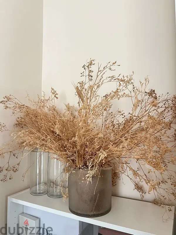 dried plants