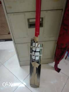 Sunridges® SS cricket bat for sale 0