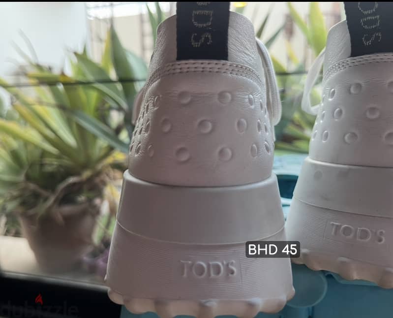Authentic – Tod’s Sneaker & brand new converse all stars 2