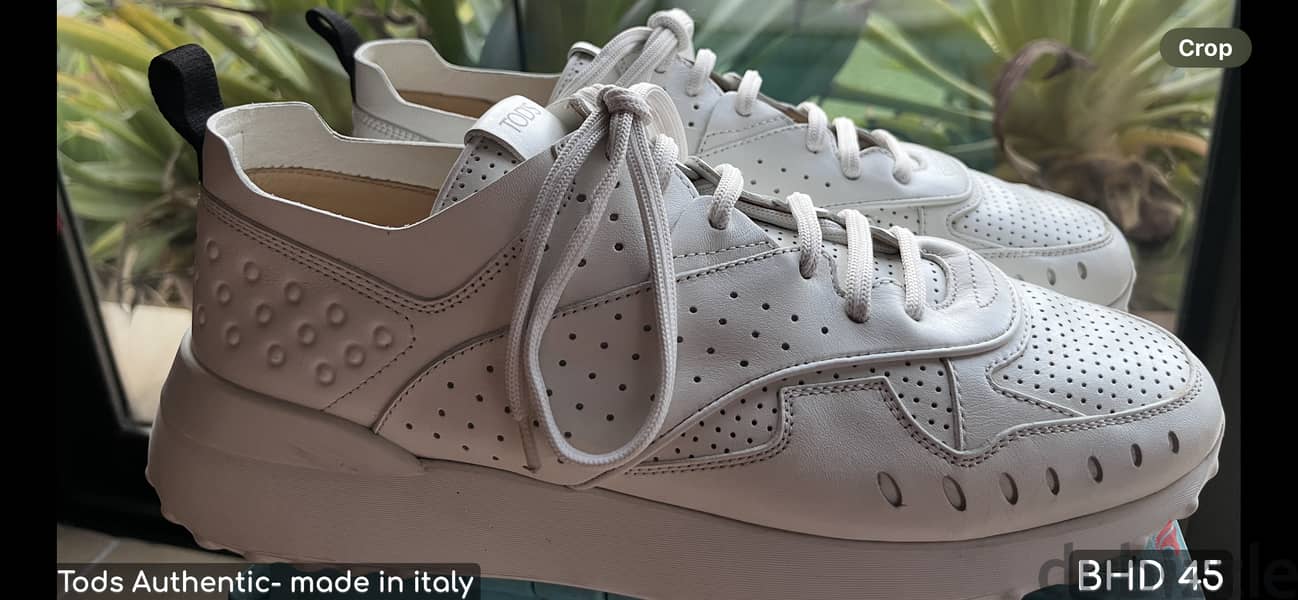 Authentic – Tod’s Sneaker & brand new converse all stars 3