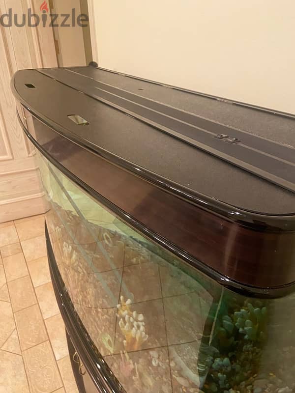 Fish Tank Aquarium 2
