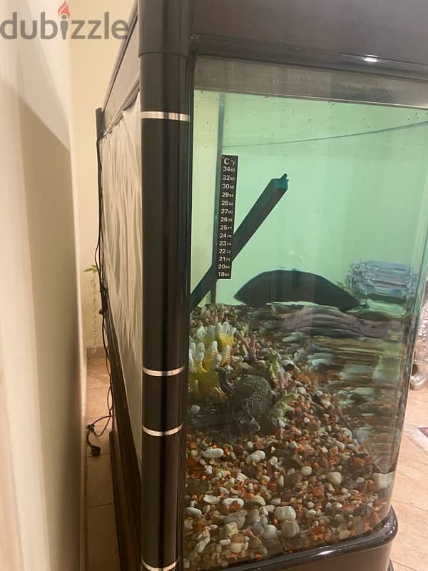 Fish Tank Aquarium 3