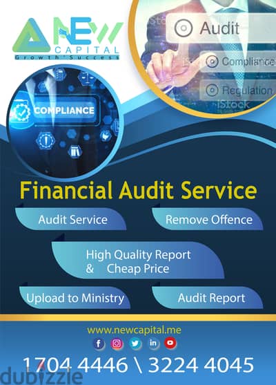 Business Audit