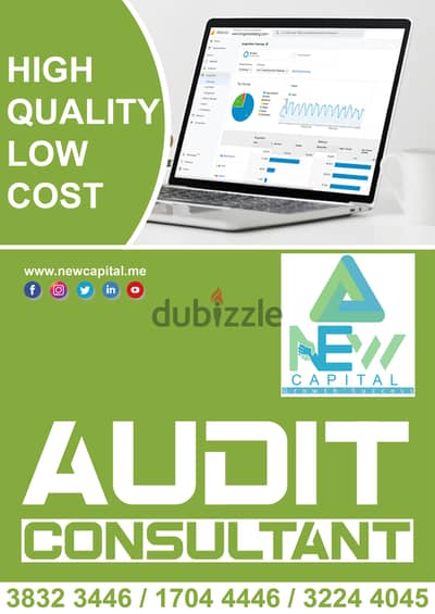 Financial AuditorConsultant