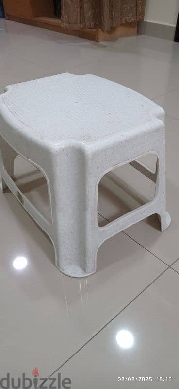 Plastic step stool