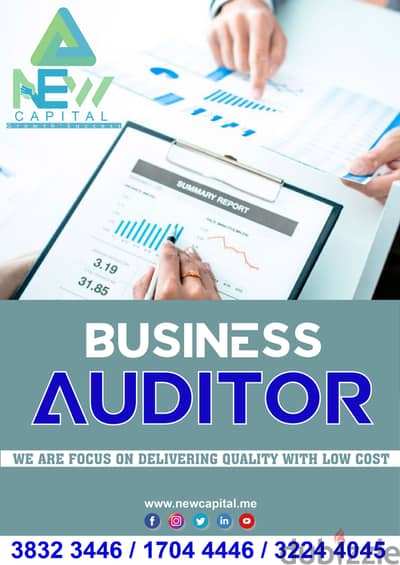Business Auditor
