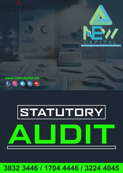 Audit Statutory