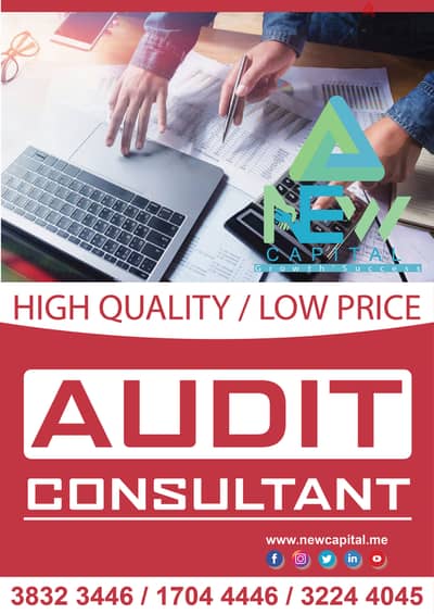 Audit Consult