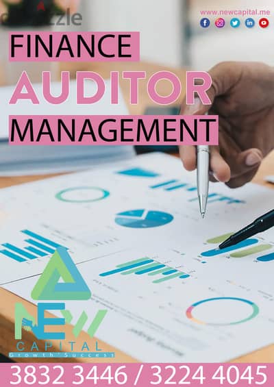 Finance Auditor Management