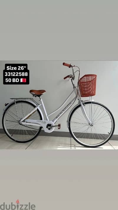 classic retro ladies bike