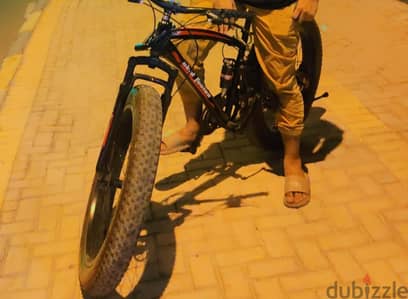 Skid Fusion Cycle Bike