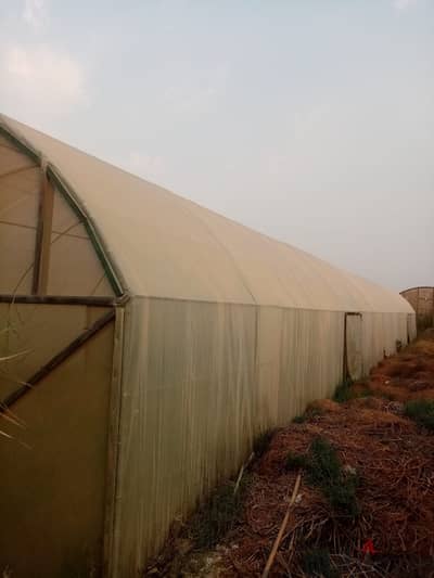 Green houses