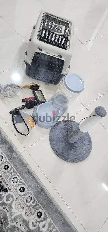 Cat accessories for sale