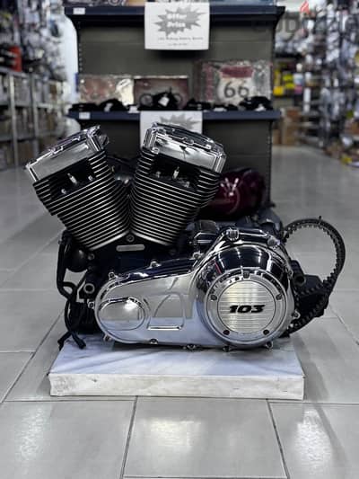 Harley Davidson 103 Engine / Transmission 2017