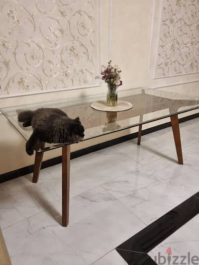 Dining table | excellent condition