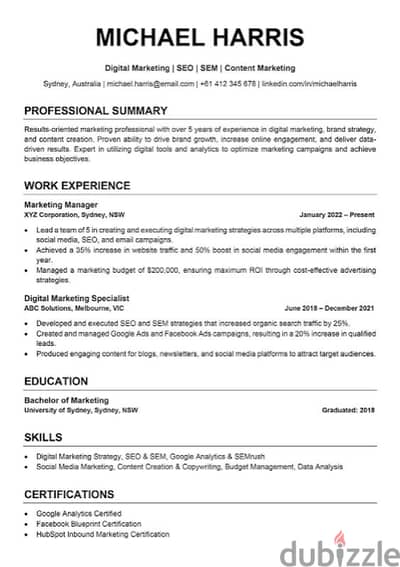 Professional CV, Stunning PPT, or Polished Document