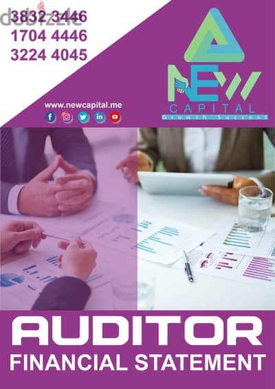 Auditor Financial Statement